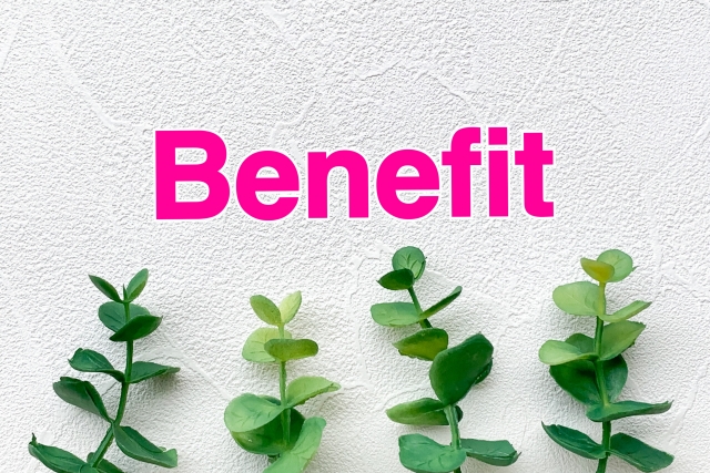 エスコムのメリット