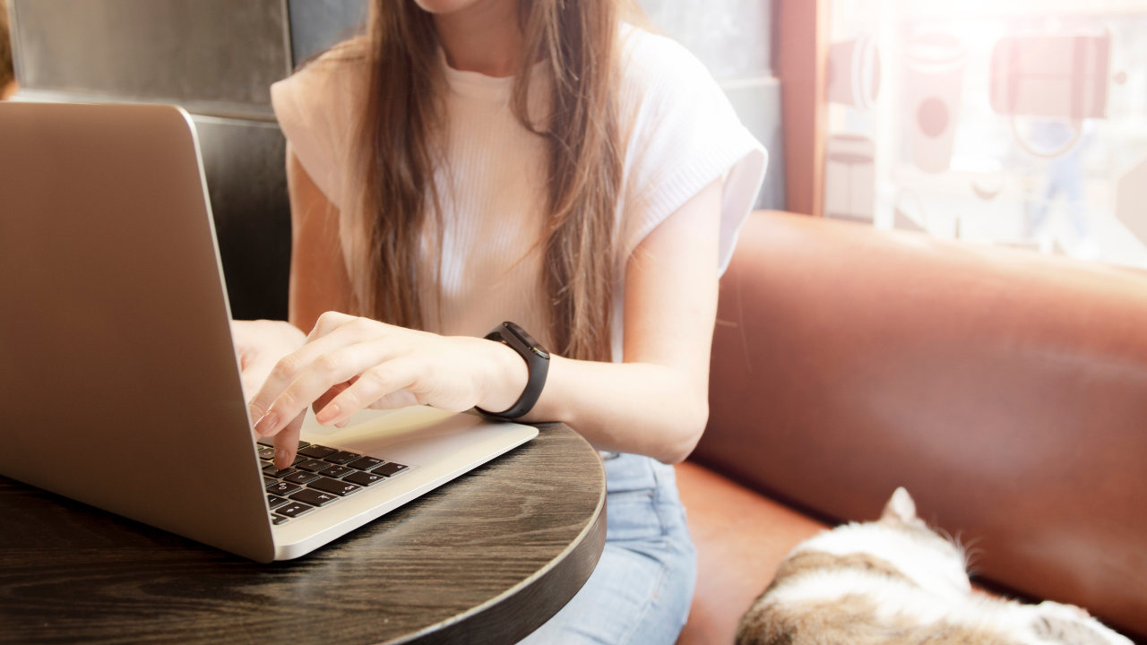 パソコンを操作する女性の画像