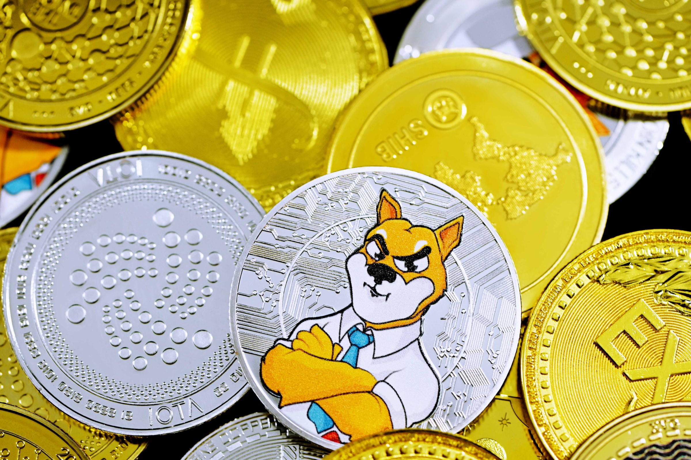 柴犬コイン/SHIBの買い方は？通貨の特徴や今後を解説！購入できる取引所もご紹介│LIFE TREND