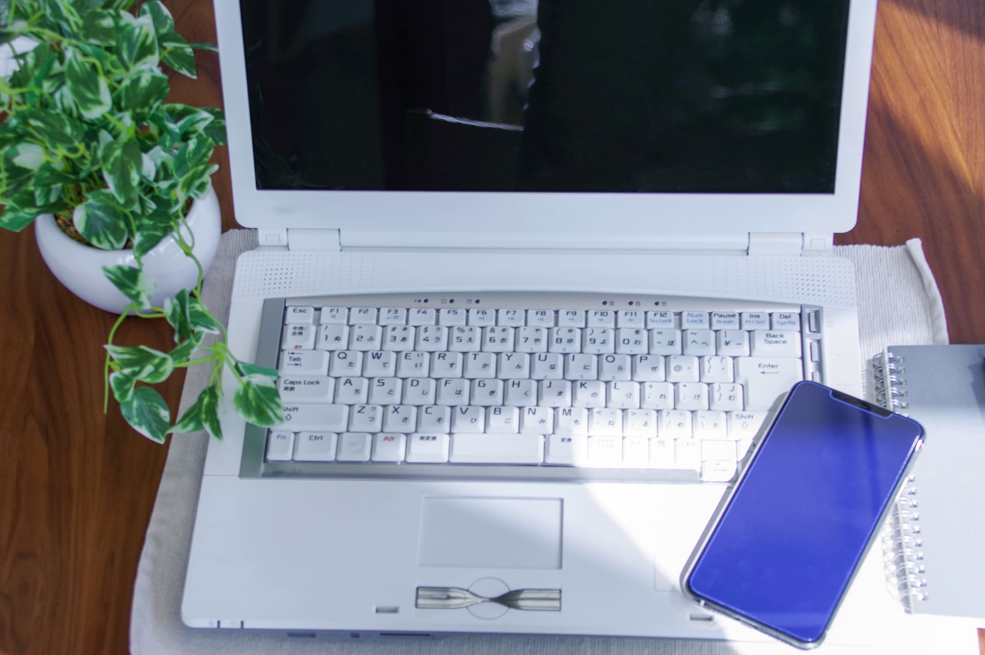 レイブンコイン/RVNの買い方は？通貨の特徴や今後を解説！購入できる取引所もご紹介│LIFE TREND