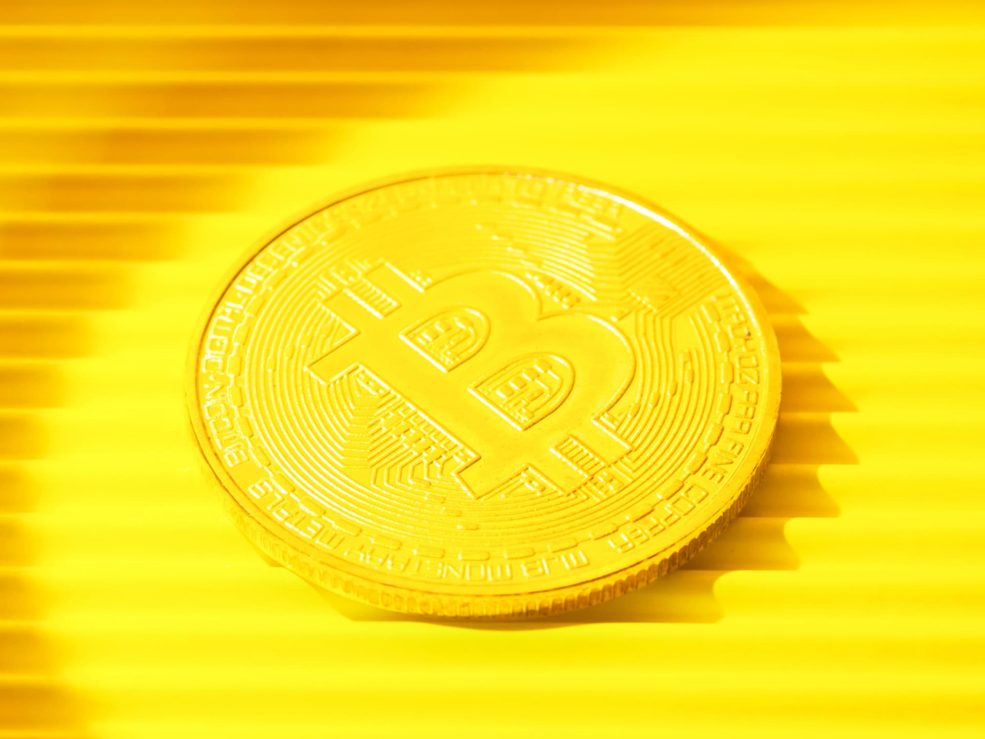 ヘデラ/HBARの買い方は？通貨の特徴や今後を解説！購入できる取引所もご紹介│LIFE TREND