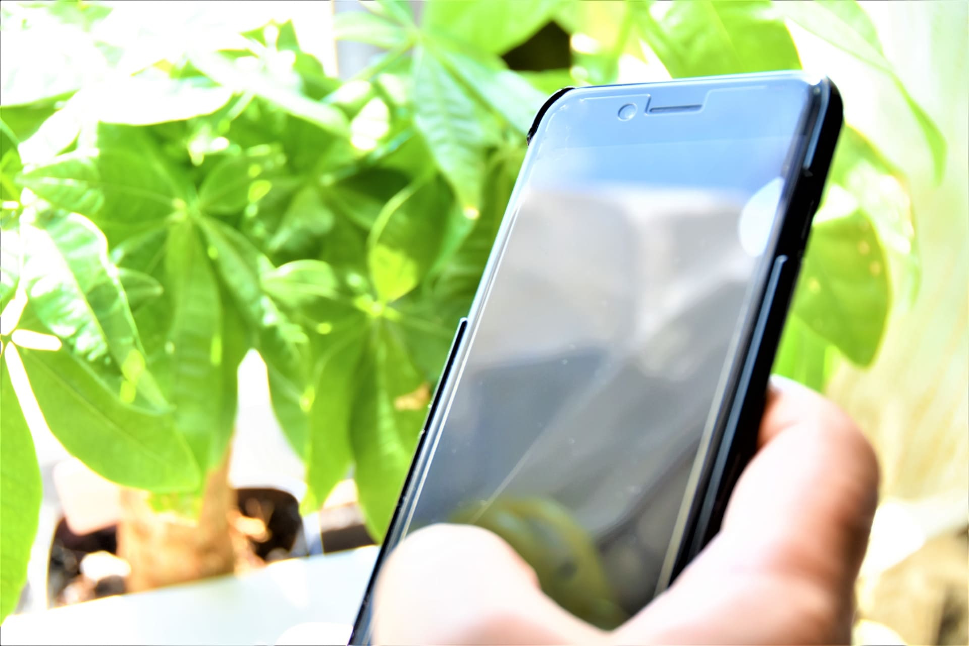 Bitterz(ビッターズ)とは？安全性や評判、特徴や口座開設の流れを徹底解説│LIFE TREND