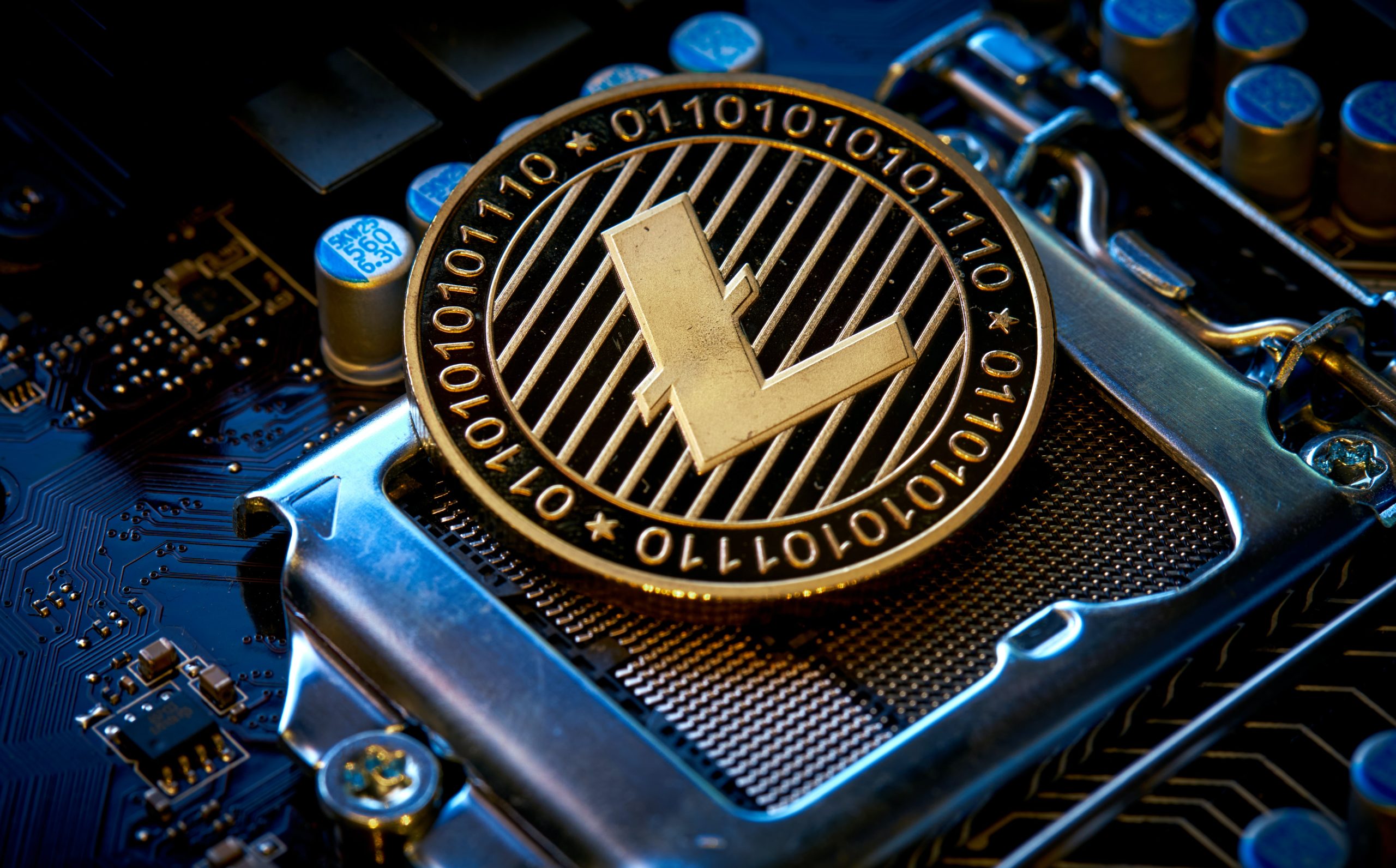 Binance(バイナンス)の取扱銘柄一覧！人気おすすめ仮想通貨銘柄を解説│LIFE TREND